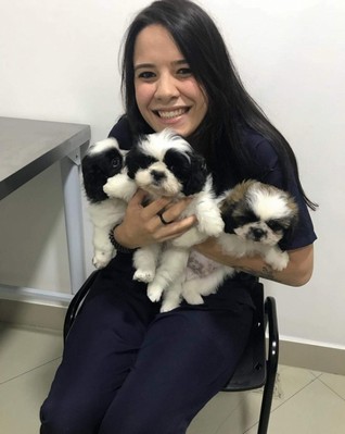 Consulta Veterinária para Cães Santo André - Consulta Veterinária Cachorro