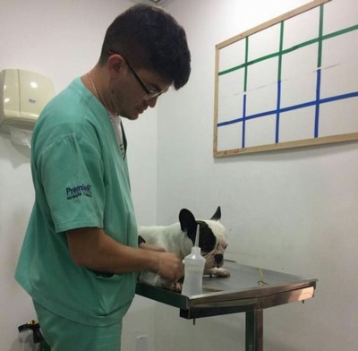 Oftalmologia Veterinária Rio Grande da Serra - Consulta Veterinária para Animais Idosos
