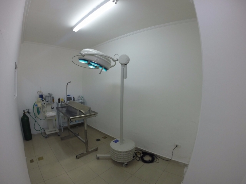 cirurgia-oncologica-veterinaria