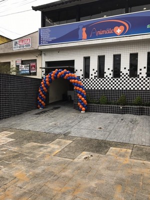 Clínica Veterinária 24 Horas em Sp Itaquera - Clínica Veterinária 24 Hrs