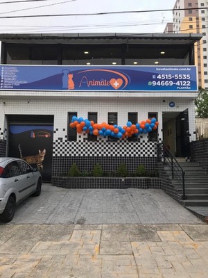 Clínica Veterinária 24 Horas Itaquera - Clínica Veterinária 24 Hrs