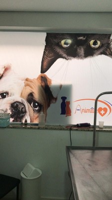 Clínica Veterinária Dermatologia São Bernardo do Campo - Clínica Pet Shop