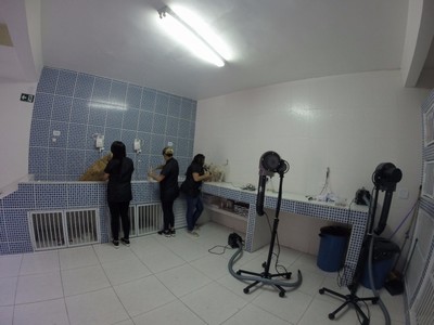 clinica-veterinaria-caes-e-gatos