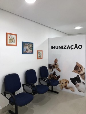 clinica-veterinaria-cirurgia