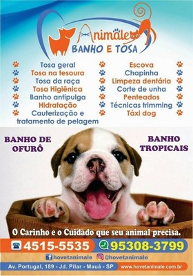 clinica-veterinaria-e-pet-shop