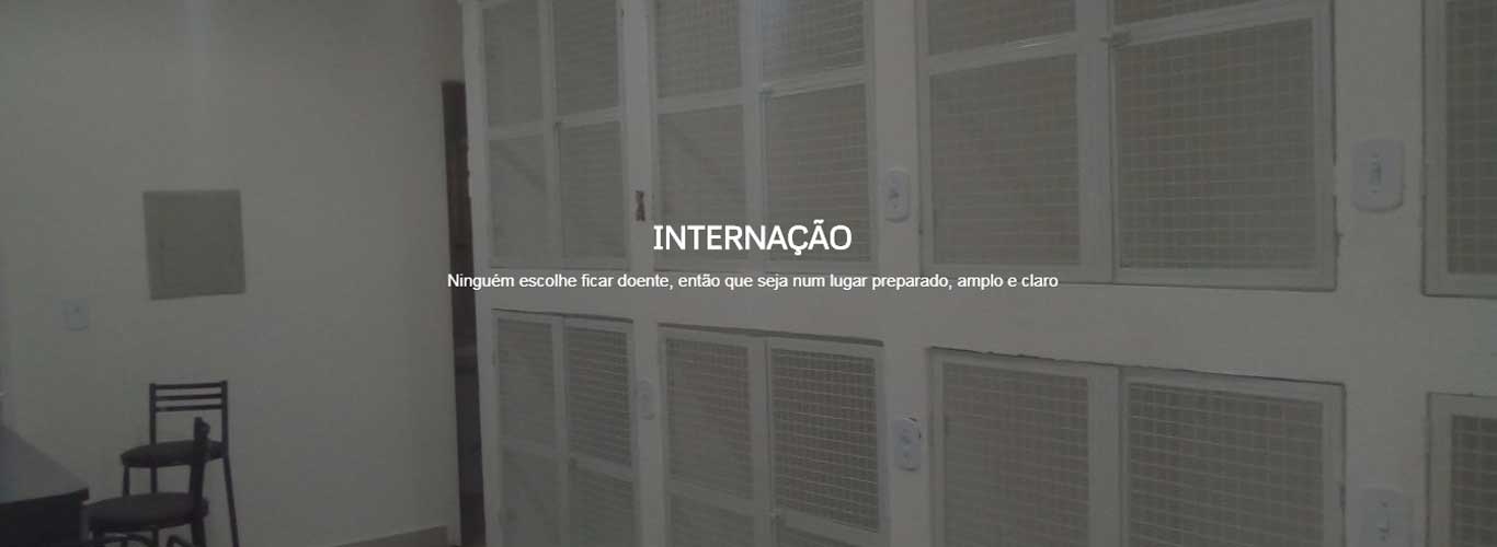 hovetanimale-banner2