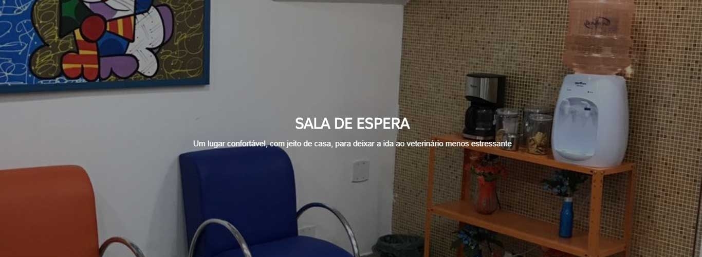 hovetanimale-banner3
