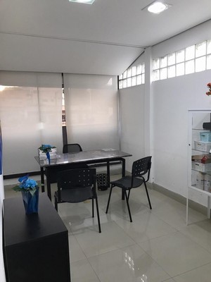 Internação para Animais Idosos Mauá - Internação para Cães Doentes