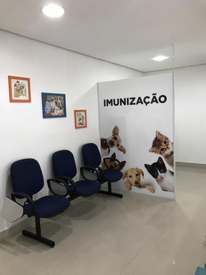 Internação para Cães Idosos Santo André - Internação de Animais