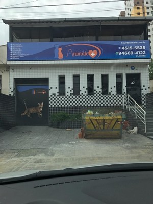 Onde Encontrar Cirurgia Geral Veterinária Mauá - Cirurgia Geral Veterinária