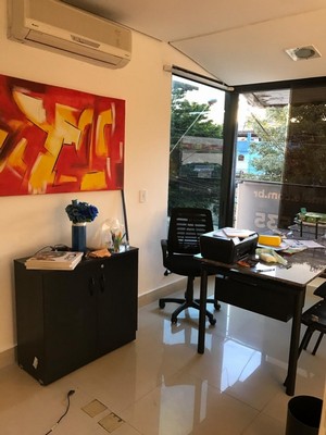Onde Encontrar Cirurgia Oftálmica Veterinária Mauá - Cirurgia Geral Veterinária