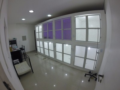 Onde Encontrar Hospital Veterinário 24 Horas Ribeirão Pires - Hospital para Animais