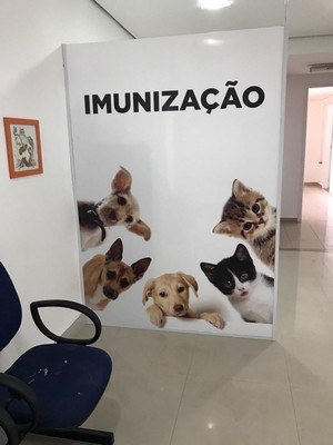 Onde Encontro Cirurgia em Cães Diadema - Cirurgia Geral Veterinária