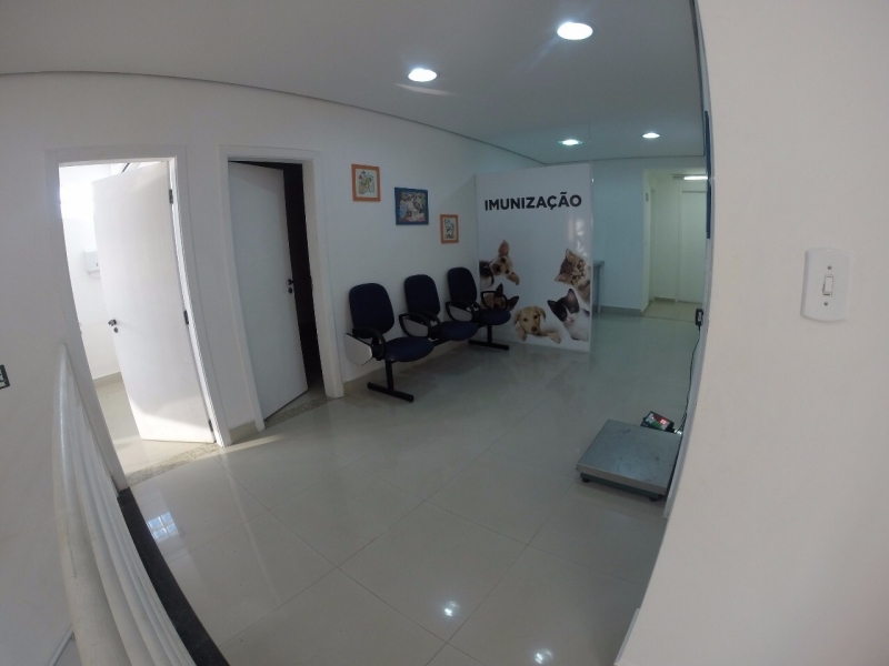 Onde Encontro Cirurgia Oncológica Veterinária Itaquera - Cirurgia Ortopédica Veterinária