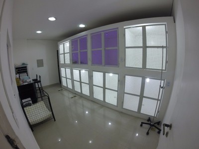 Onde Encontro Hospital de Cachorro Diadema - Hospital para Animais