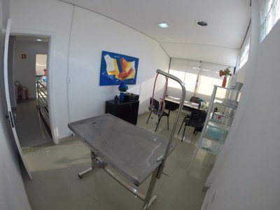 Quanto Custa Internação para Animais Domésticos Santo André - Internação para Cães Doentes
