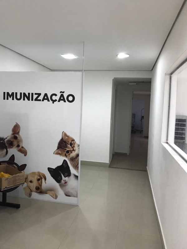 Quanto Custa Internação para Animais Idosos Diadema - Internação para Cães Doentes