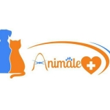 hospital 24 horas para cachorro Ribeirão Pires