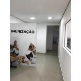 Internação para Animais Idosos