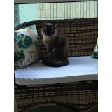 onde encontrar clínica veterinária para gatos Diadema