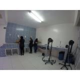 onde encontro clínica veterinária para gatos Santo André